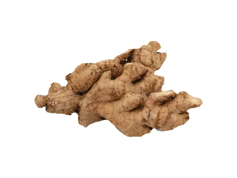 000000000070589330-KG-01