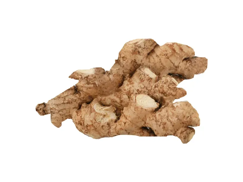 000000000070589330-KG-02