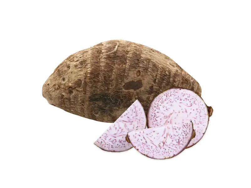 000000000070589331-KG-01