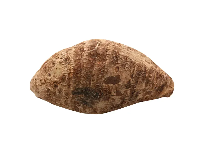 000000000070589331-KG-02