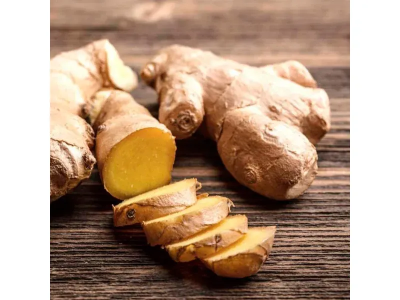 000000000070589330-KG-04