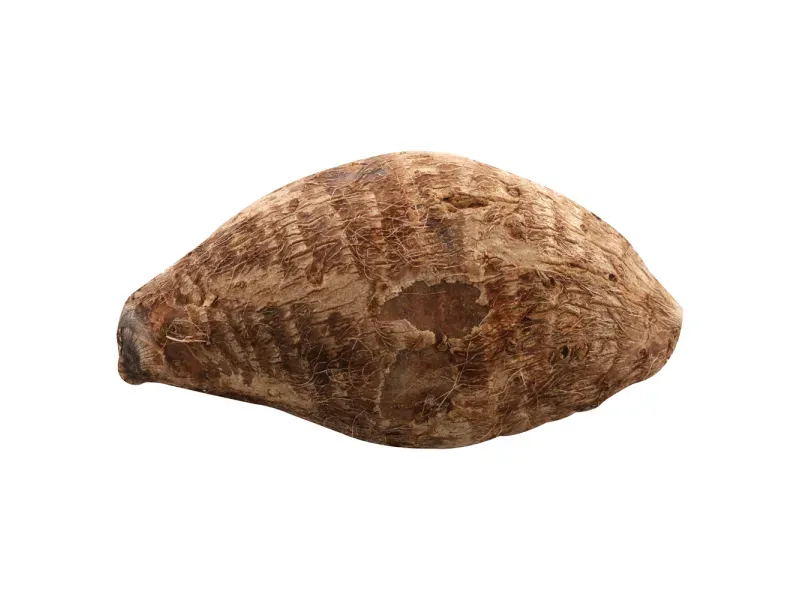 000000000070589331-KG-03