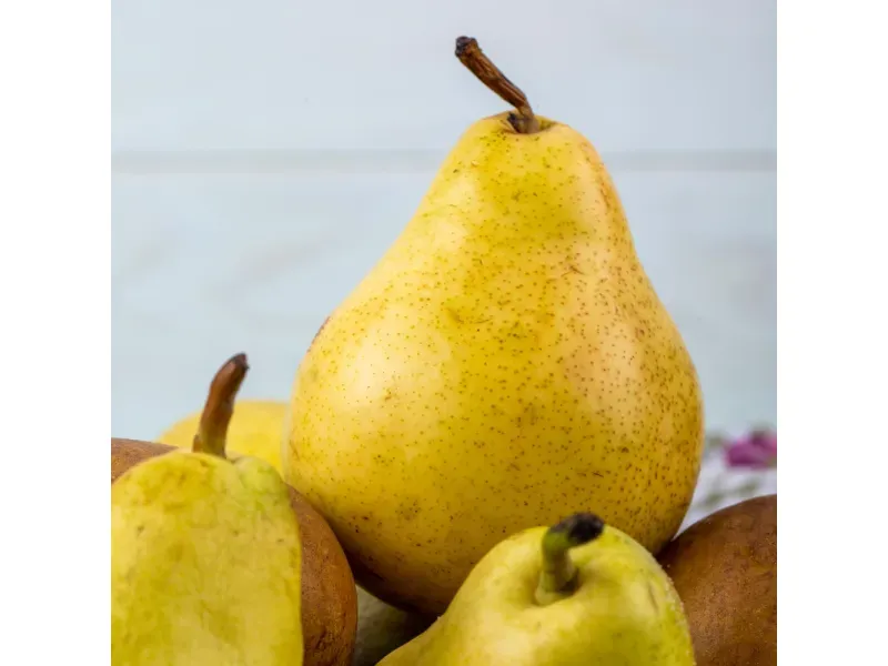 000000000070027012-KG-03