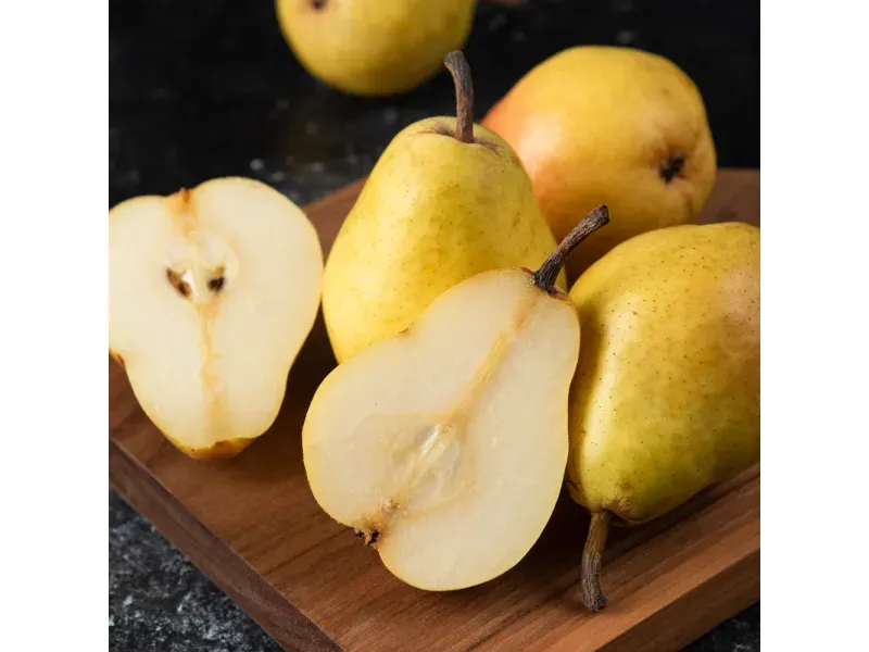 000000000070027012-KG-04