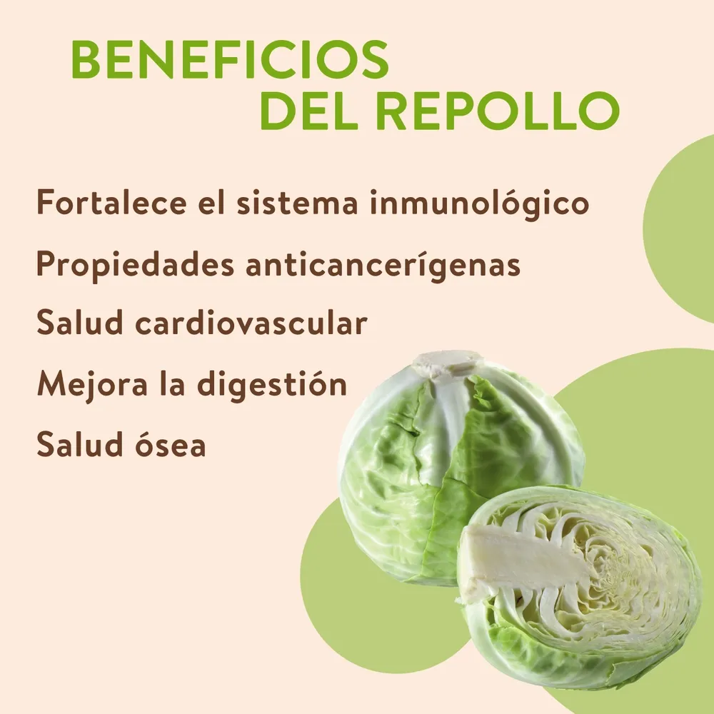 Comprar Repollo Blanco Precio indicado por Kilo - 1 a 2 unidades por kg ...