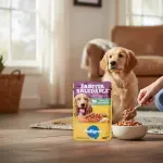 000000000075462660-UN-04