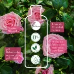 000000000070188460-UN-04