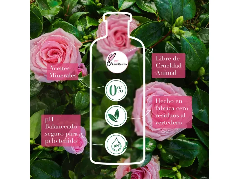 000000000070188460-UN-04