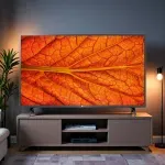 000000000075096232-UN-07