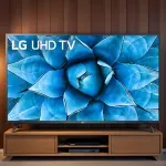 000000000075096245-UN-05