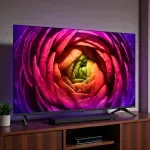 000000000075242636-UN-06