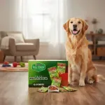 000000000075401952-UN-08