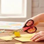 000000000070609343-UN-03