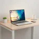 000000000075416666-UN-06