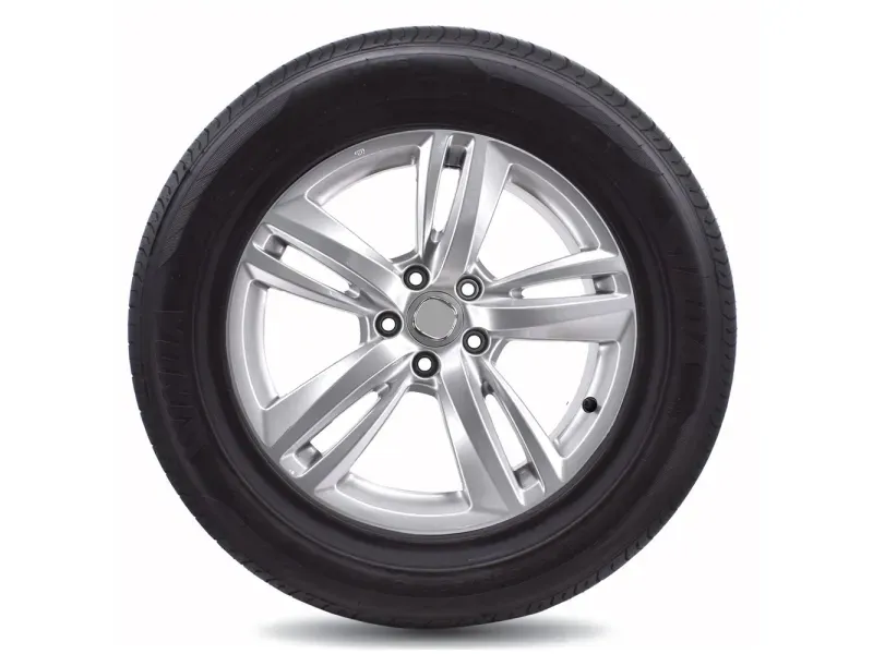 000000000070076311-UN-02