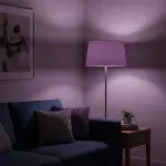 000000000075236327-UN-08