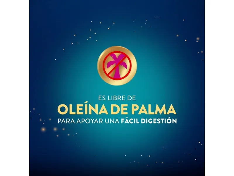 000000000075178271-UN-09