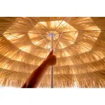 000000000070681310-UN-02