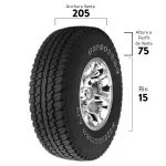 000000000075199771-UN-05