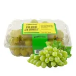 000000000070608028-UN-01