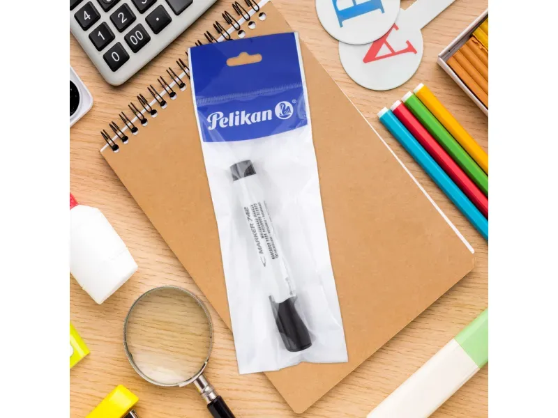 000000000070229895-UN-04