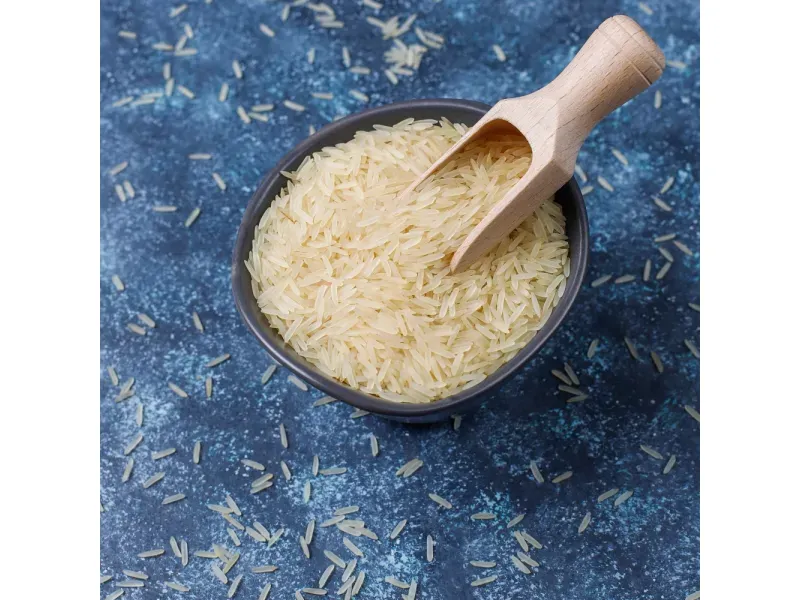 000000000070049678-UN-05