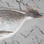 000000000075381753-UN-06