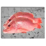 000000000075387705-UN-04