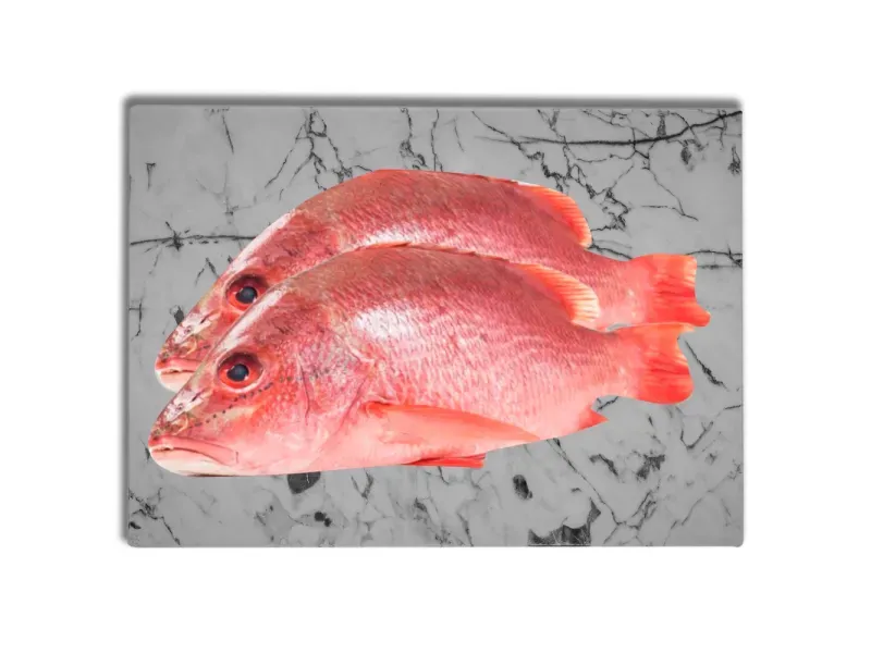 000000000075387705-UN-04