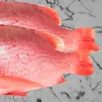 000000000075387705-UN-06