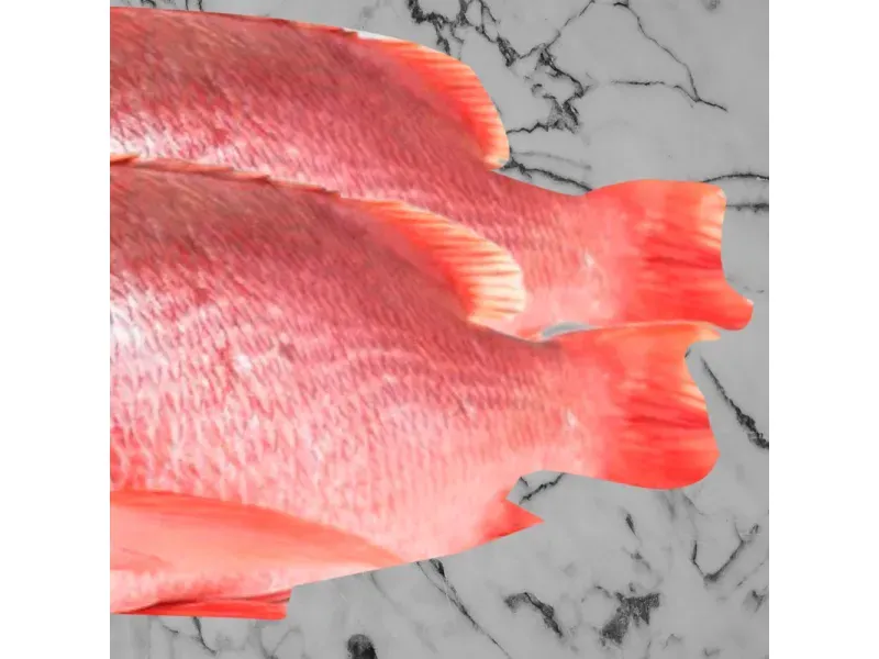 000000000075387705-UN-06