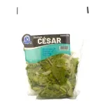 000000000075397147-UN-02