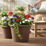 000000000070533680-UN-03