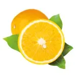 000000000009414609-UN-01