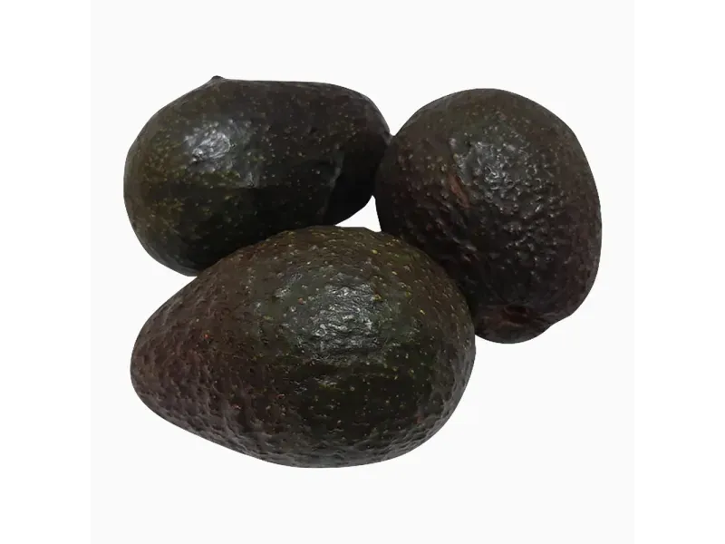 000000000009401624-KG-02