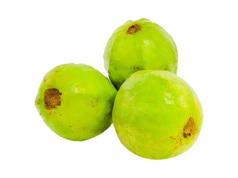 000000000009401848-KG-01