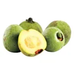 000000000009401848-KG-02