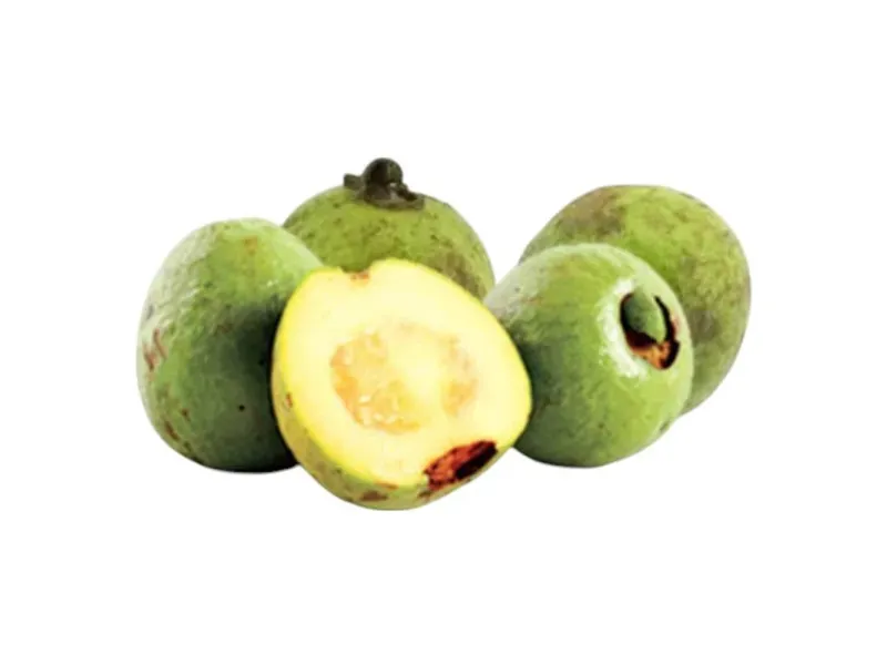 000000000009401848-KG-02