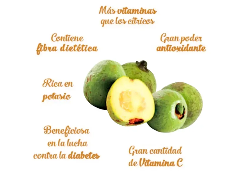 000000000009401848-KG-03