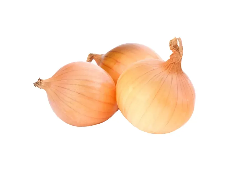 000000000009434944-KG-01