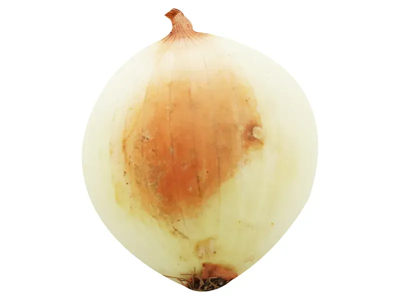 000000000009434944-KG-02