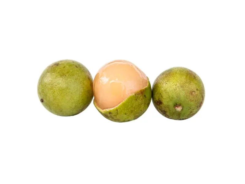 000000000009449532-KG-02