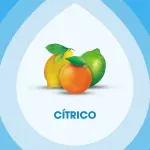 000000000001360732-UN-05