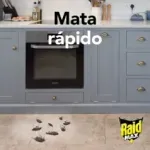 000000000070272868-UN-07