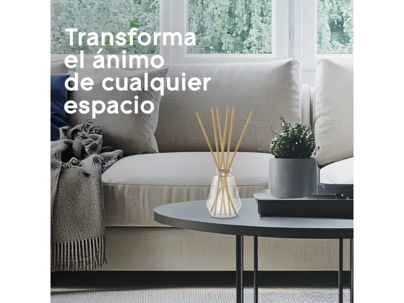 000000000070162887-UN-08