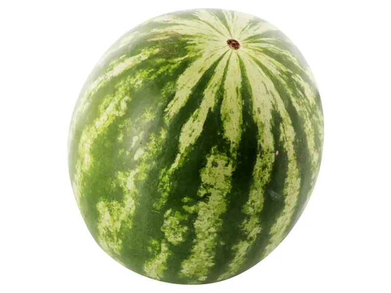 000000000075395135-KG-02