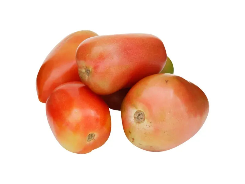 000000000075268253-KG-03