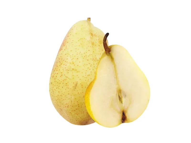 000000000009414042-KG-01