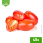 000000000070130338-KG-01