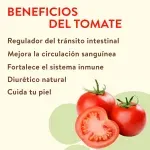 000000000070130338-KG-02